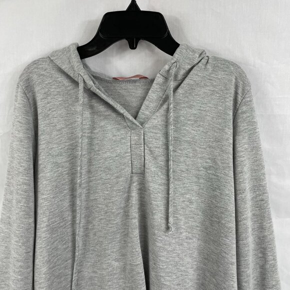 SJS Gray Hooded Light-weight Sweatshirt Size M - Picture 2 of 10